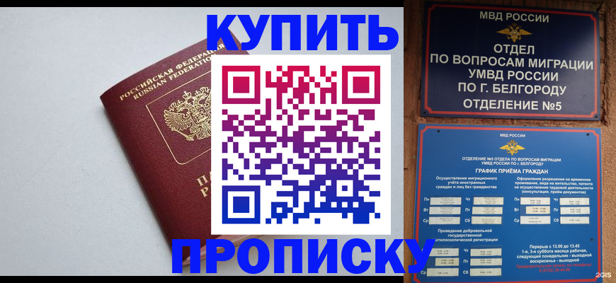 прописка регистрация в Тольятти